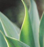 unknown_339324369_965050524949062_5195133737761052114_n.jpg